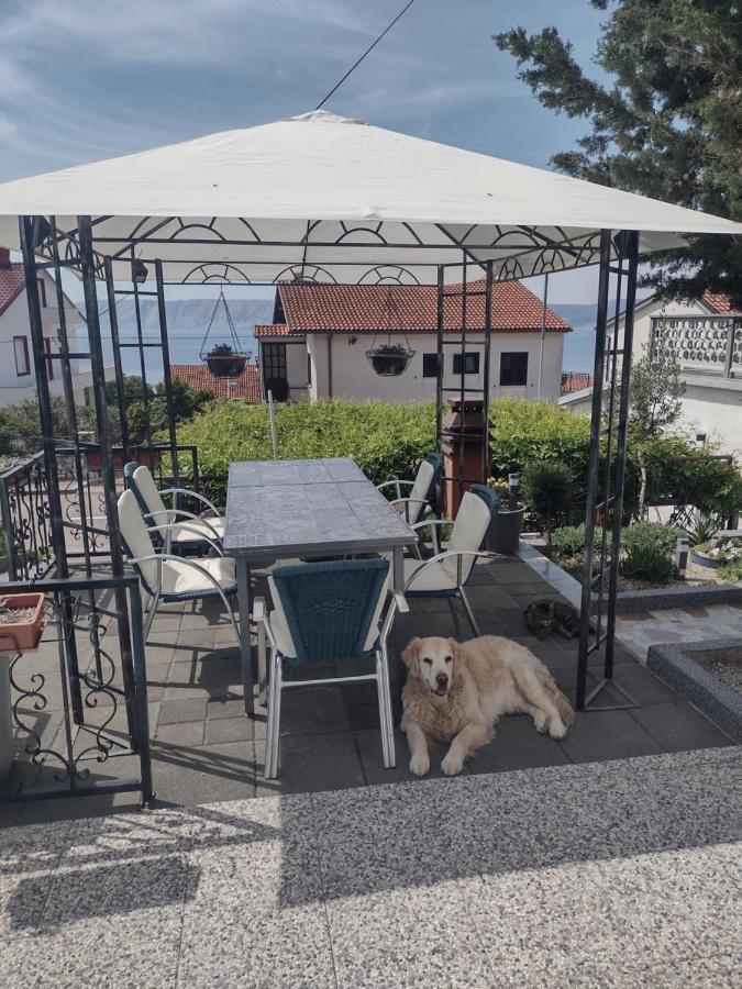 Vita * Novi Vinodolski
